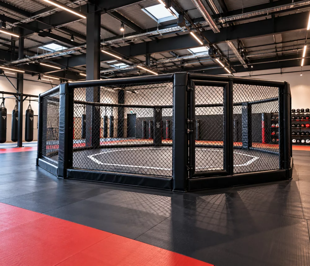 Combat sports