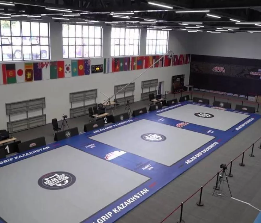 Brazilian jiu-jitsu